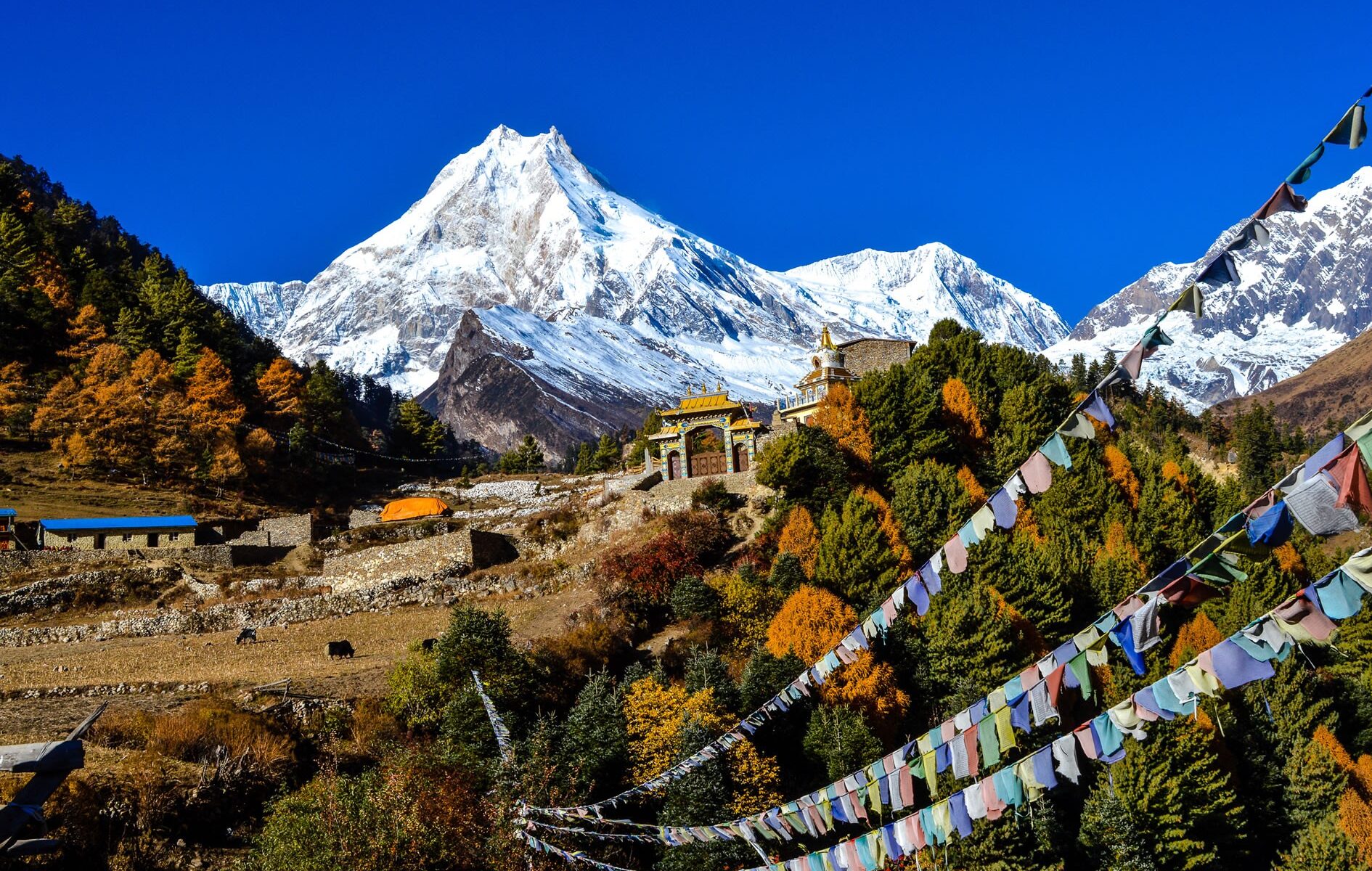 Manaslu Region